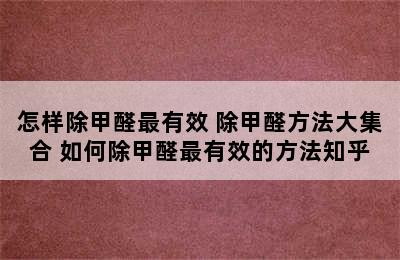 怎样除甲醛最有效 除甲醛方法大集合 如何除甲醛最有效的方法知乎